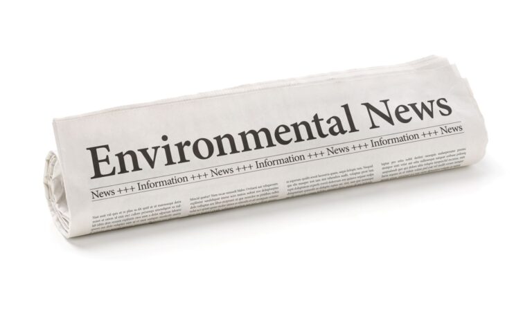 EnvironmentalNews iStock 473170218 small 1 768x460