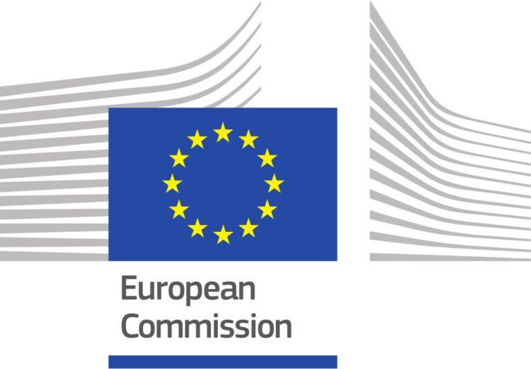European Commission logo 9 1024x710 47 10 1 768x533