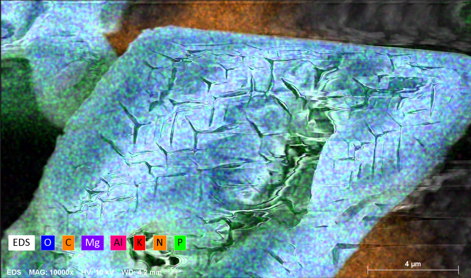 eds map 2