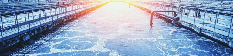 shutterstock 1786915997 crop 768x186