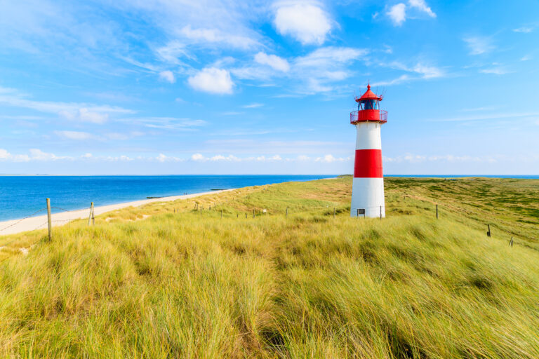 iStock 675331486 768x512