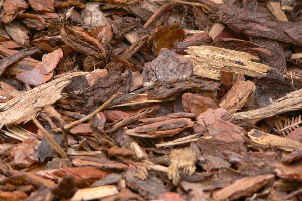 bark mulch 958416 1920