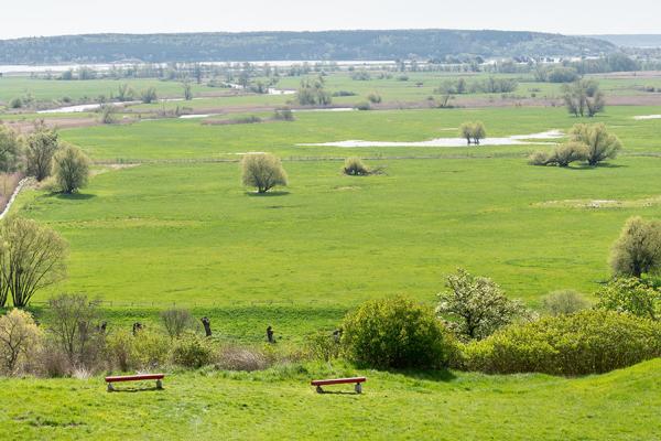 grasslands shutterstock 2328835499 crop