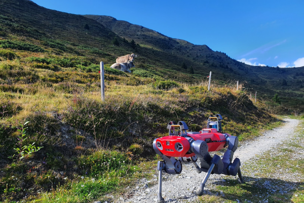 legged robots top