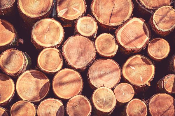logs