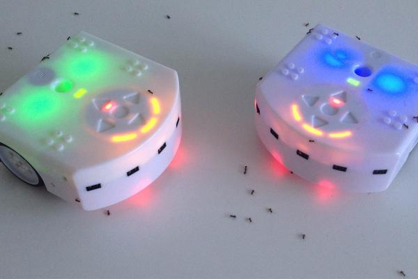 robots header