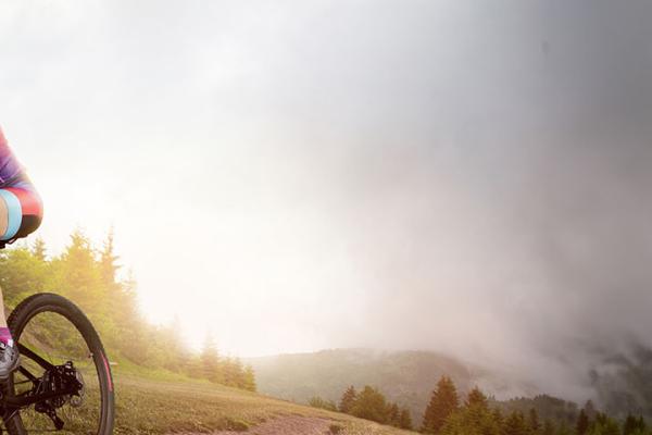 shutterstock 593374808 crop
