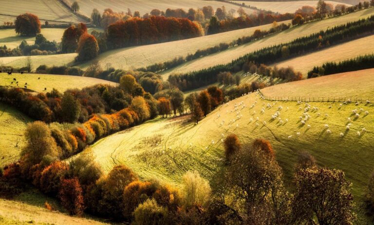 landscape gf4e8f3527 19201 768x463