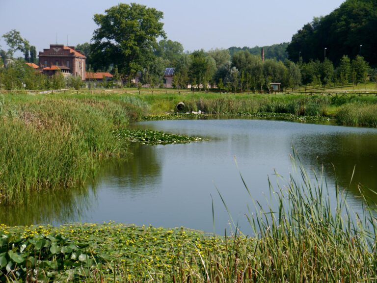 Gorla20Maggiore1 768x577