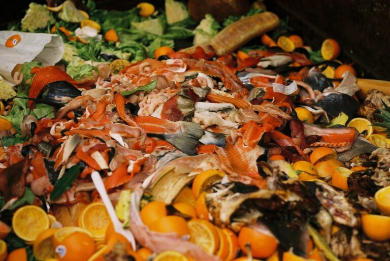 GI Market food waste1 768x514