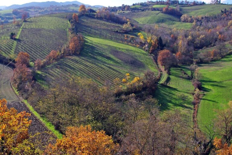 parma20region1 768x512