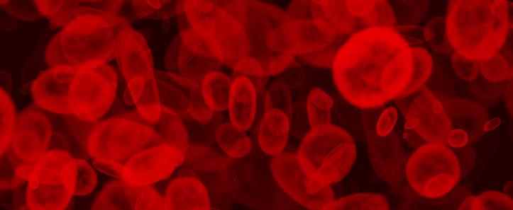 red blood cells 1