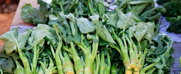 Green20leafy20vegetables1 768x315