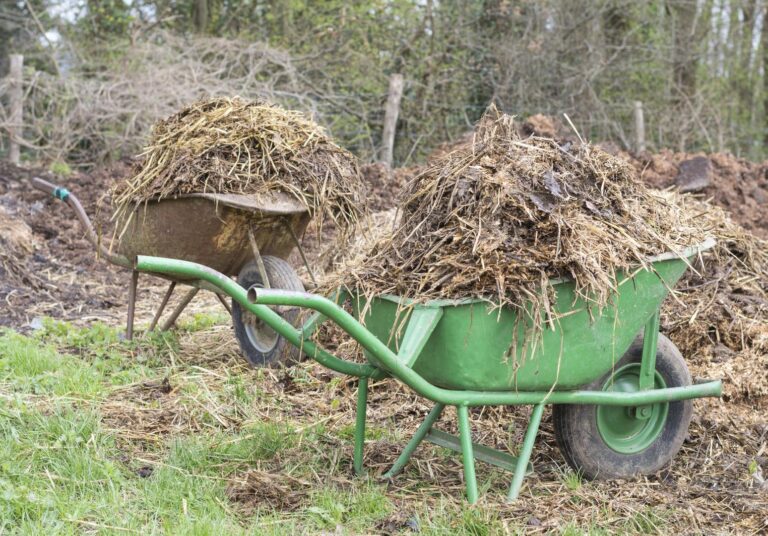 grass farm lawn green vehicle crop 1291559 pxhere.com 1 768x536