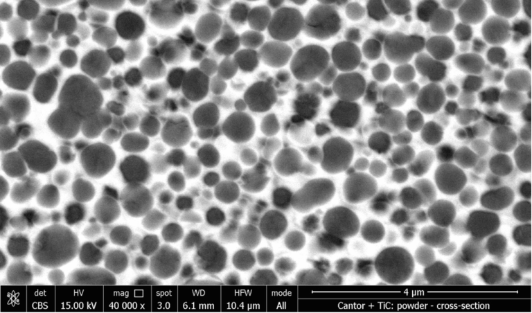 Microstructure of Titanium Carbides in a FeCrAl matrix Microstructure of Titanium Carbides in a FeCrAl matrix