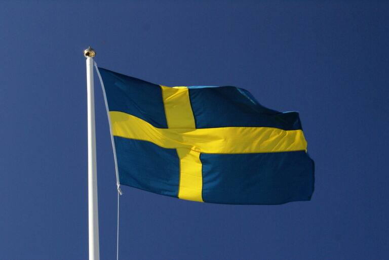 Flag of Sweden 7 768x514